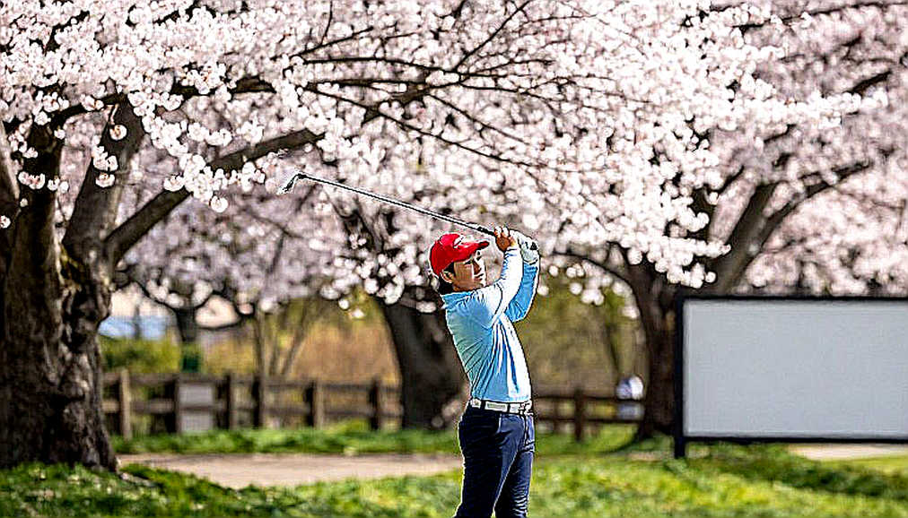 Solheim Cup 2026: Nelly Korda and Charley Hull Kick Off Dramatically in the Netherlands Solheim Cup 2026: Nelly Korda and Charley Hull Kick Off Dramatically in the Netherlands