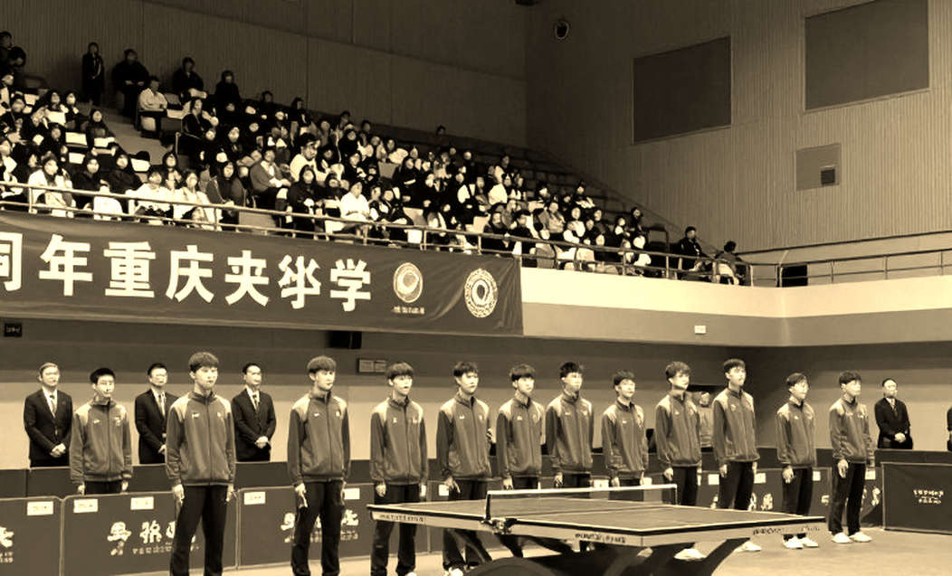 WTT Feeder Linz 2026: Hai viên ngọc Anh và khoảng trống Olympic sau tấm vé hạt giống số một